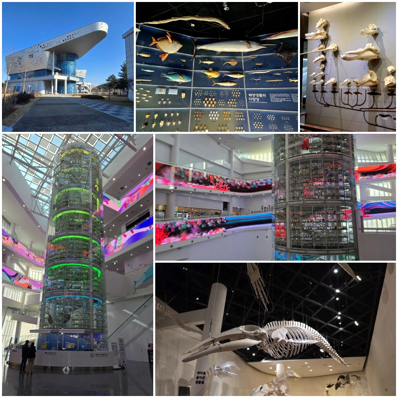 DJmqMeo4HLgA5rF6Eerbjy71Eoo