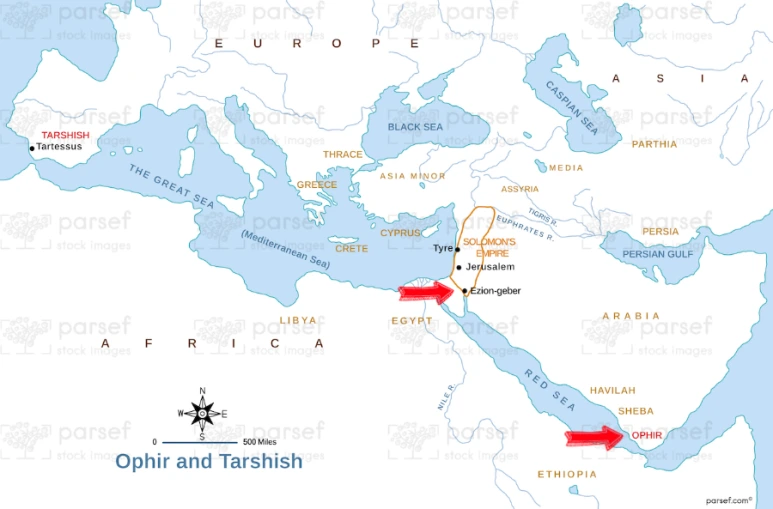 SE-ebd1f26b-88c6-49ee-8144-98d0cc7d2965.png?type=w773