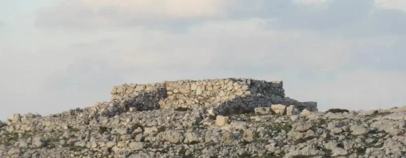 joshua_22.188140206_std.jpg?type=w1