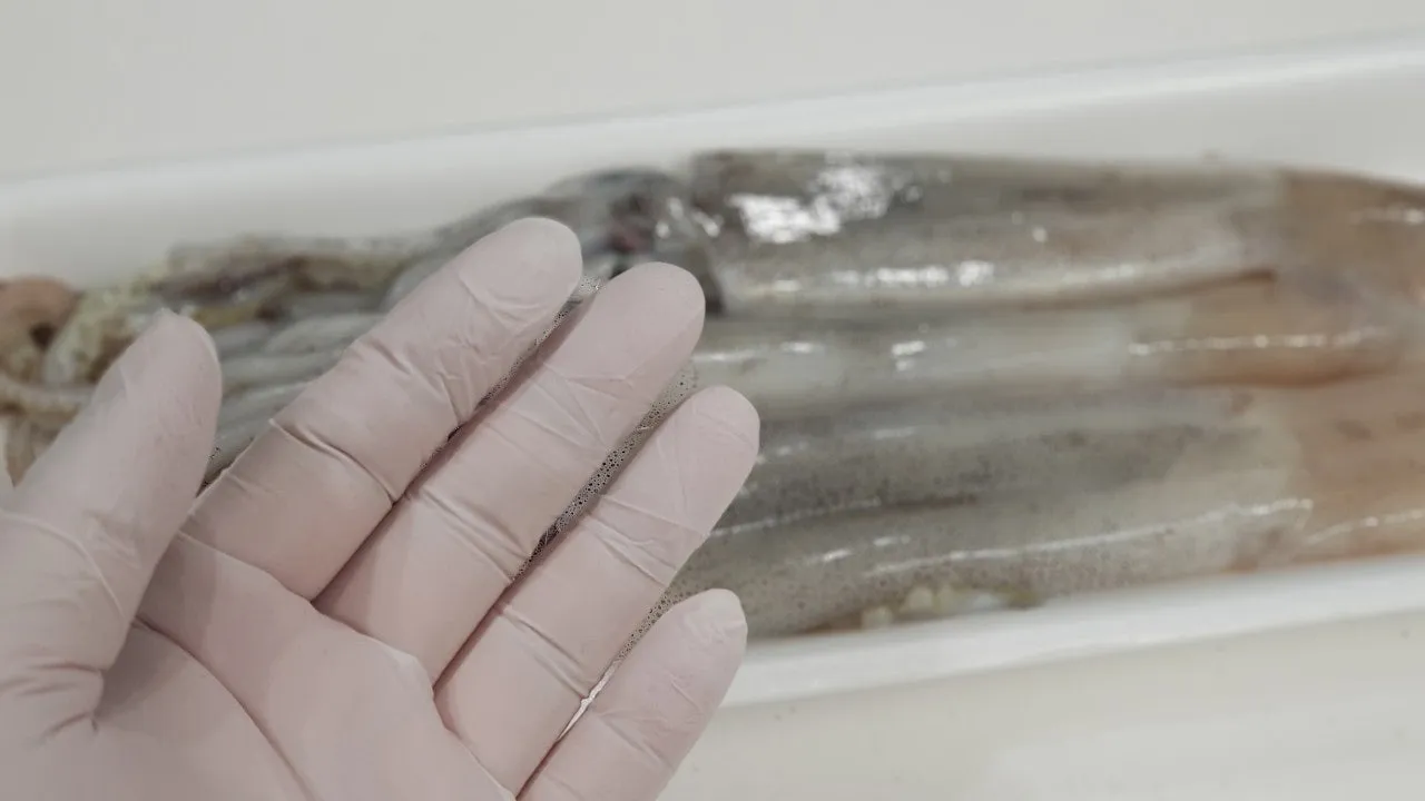 3_55bUd018svcxw8hzzjxcg48_1h7xag.jpg?type=e1920_std