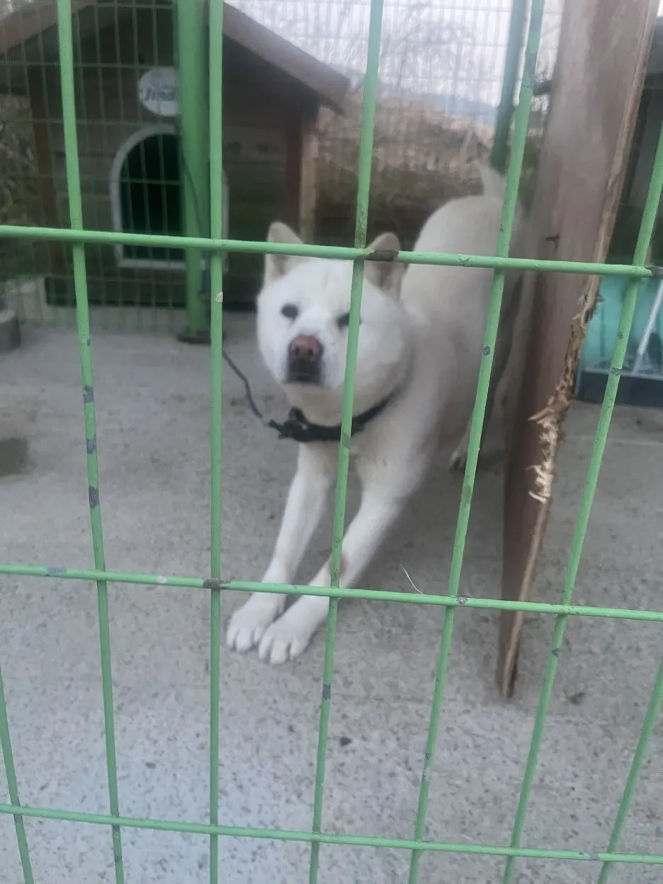 KakaoTalk_20260319_194518214_02.jpg?type=w1