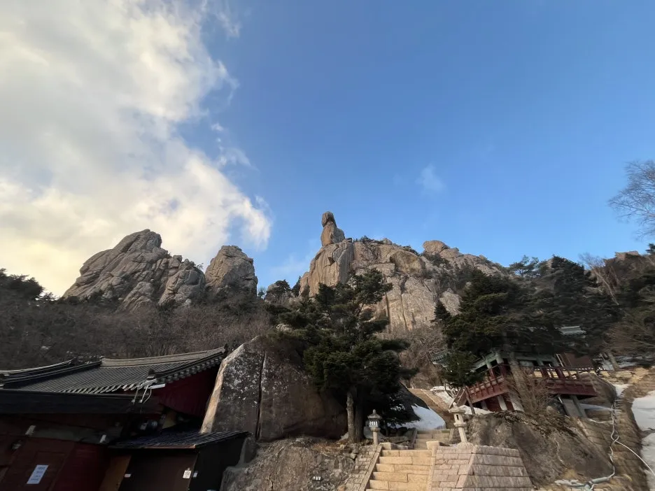 KakaoTalk_20260218_213821168_11.jpg?type=w1