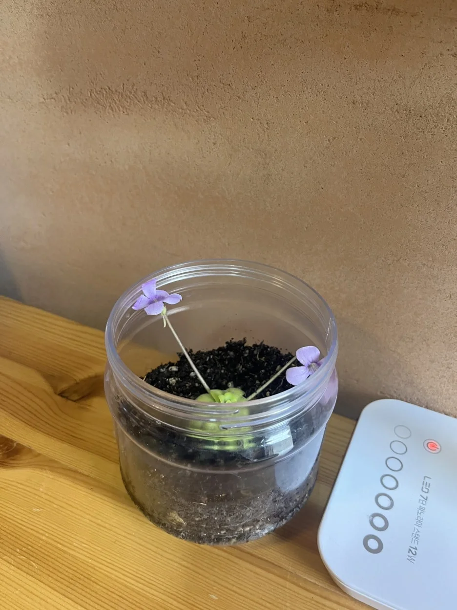 KakaoTalk_20260303_195318010_11.jpg?type=w1