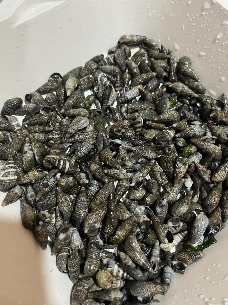 KakaoTalk_20260401_215218708_13.jpg?type=w1