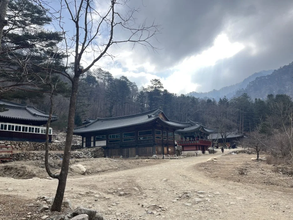 KakaoTalk_20260218_212726928_19.jpg?type=w1