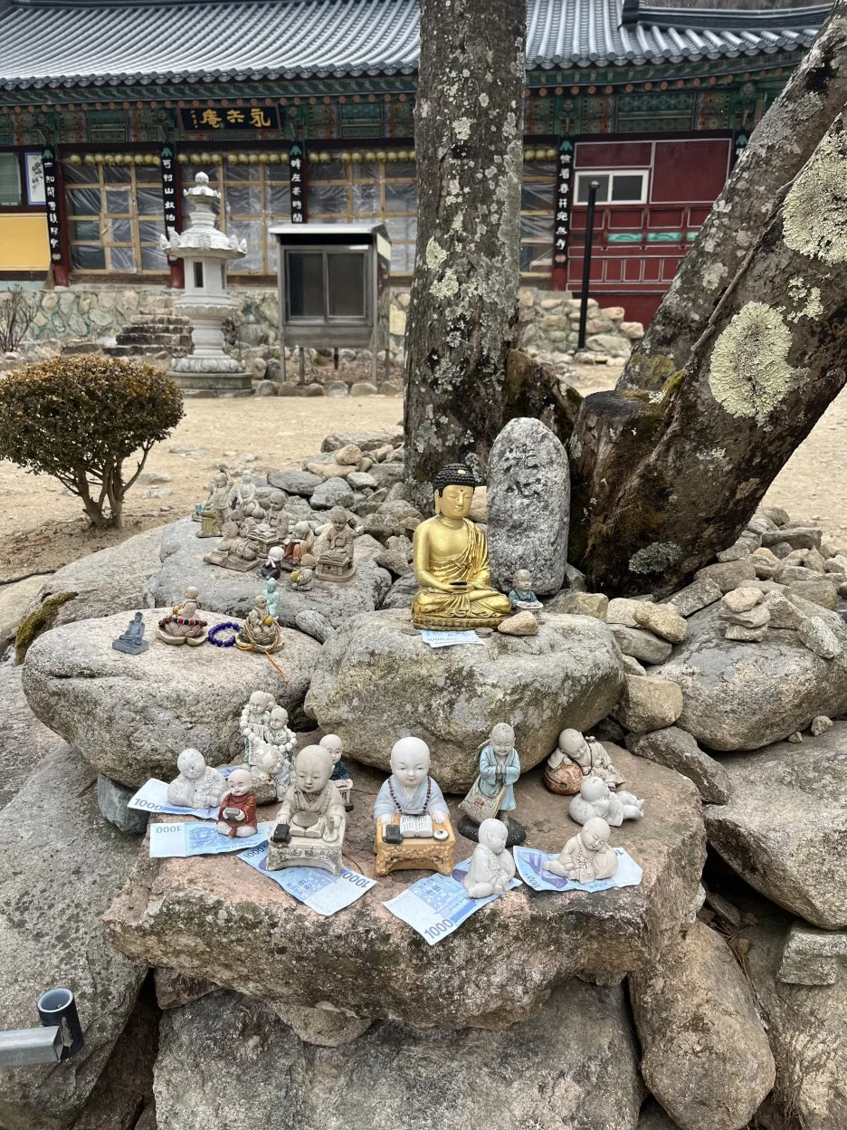 KakaoTalk_20260218_212726928_20.jpg?type=w1