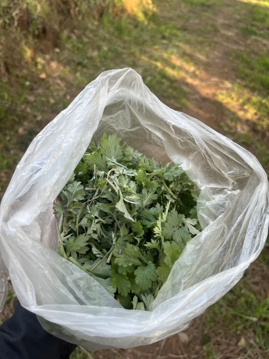 KakaoTalk_20260324_202123293_03.jpg?type=w1