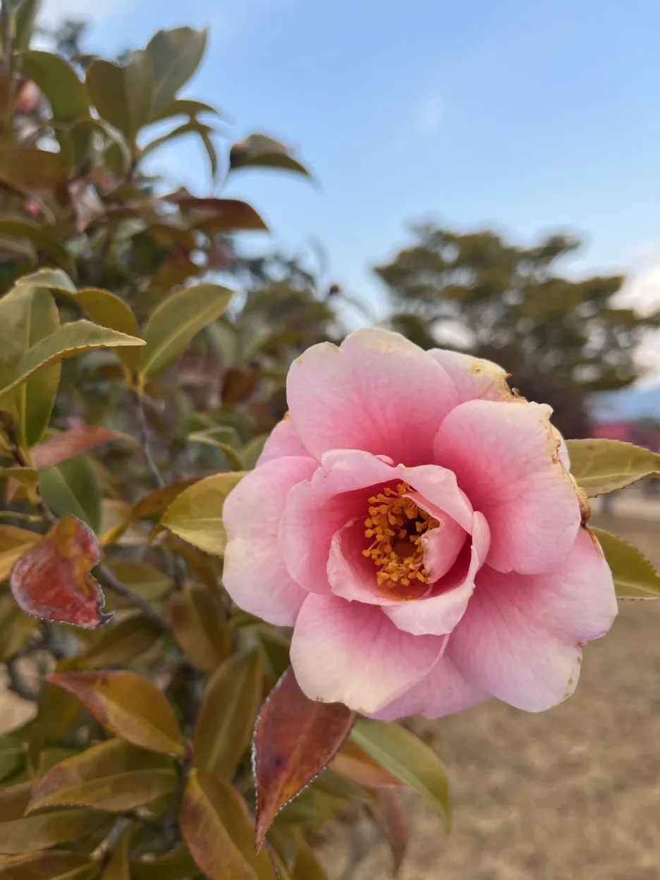 KakaoTalk_20260308_094431171_03.jpg?type=w1