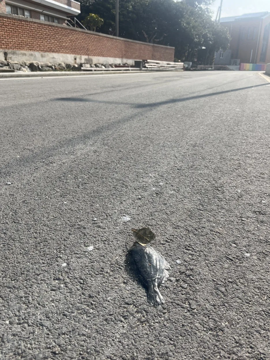 KakaoTalk_20260306_214130335_06.jpg?type=w1