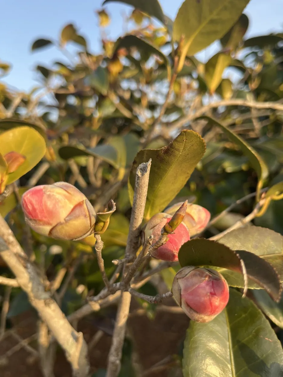 KakaoTalk_20260308_094431171_09.jpg?type=w1