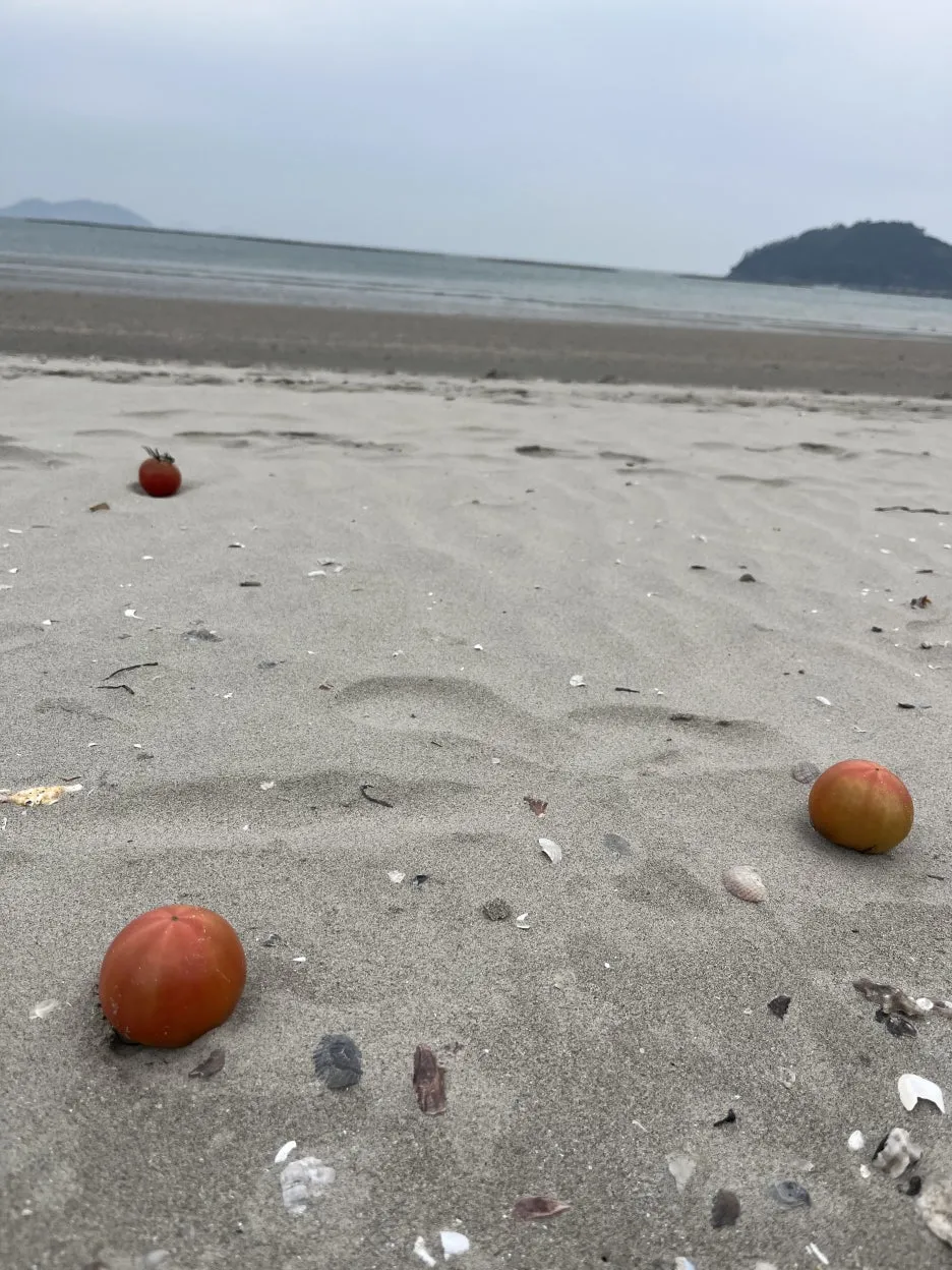 KakaoTalk_20260401_214925550_01.jpg?type=w1