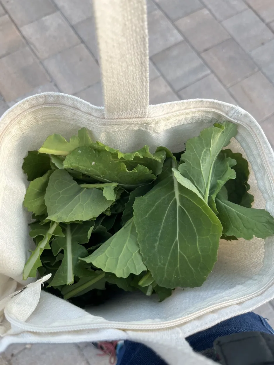 KakaoTalk_20260324_202123293_08.jpg?type=w1