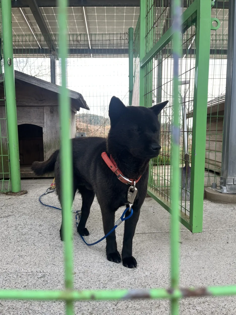 KakaoTalk_20260305_220427071_05.jpg?type=w1