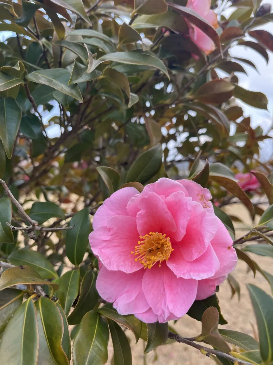 KakaoTalk_20260308_094431171_02.jpg?type=w1