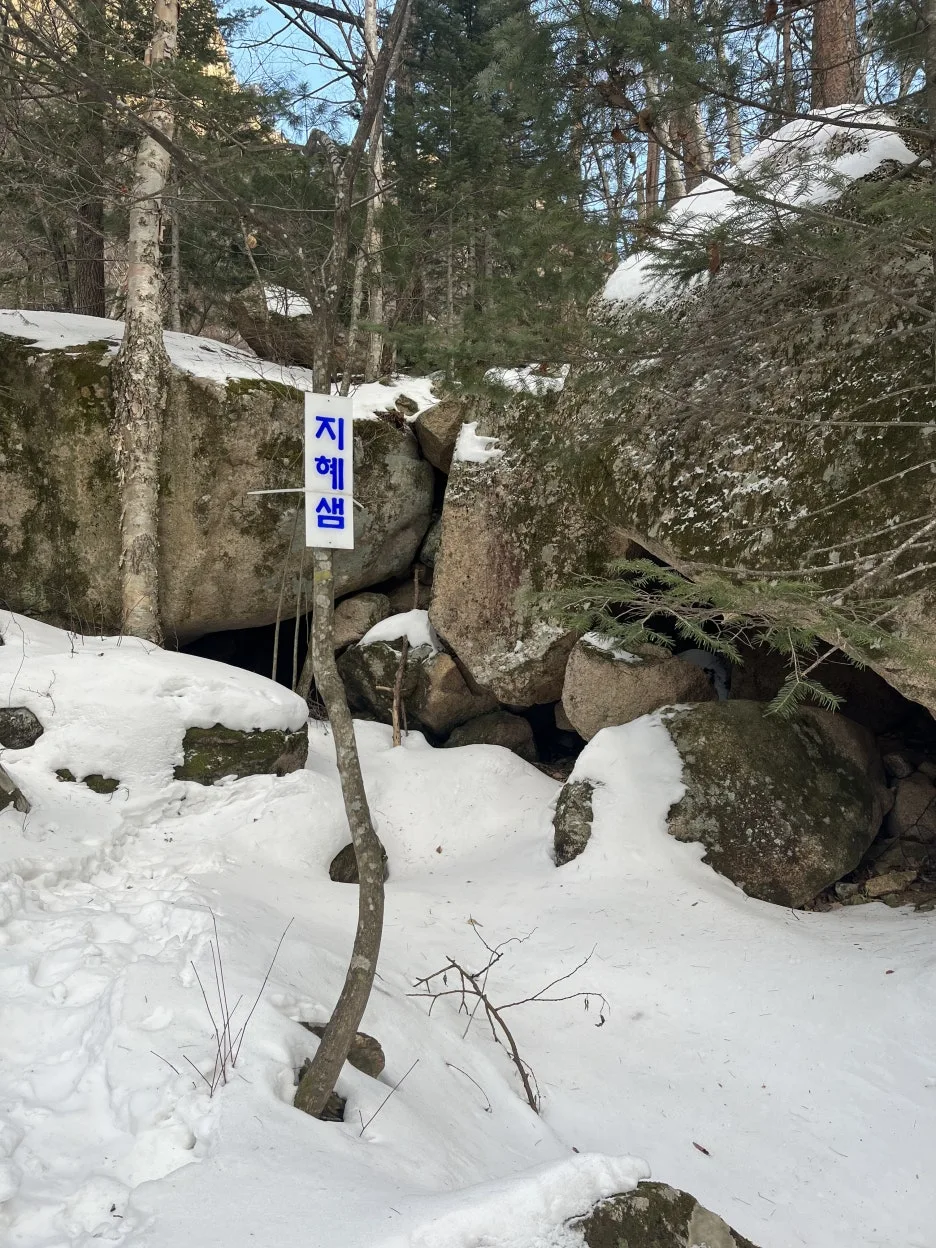 KakaoTalk_20260218_213821168_03.jpg?type=w1