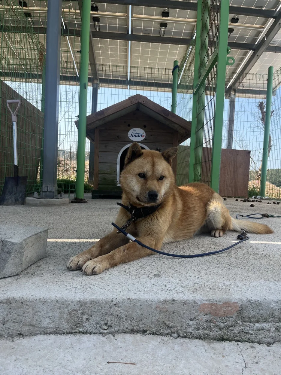 KakaoTalk_20260319_194518214_03.jpg?type=w1