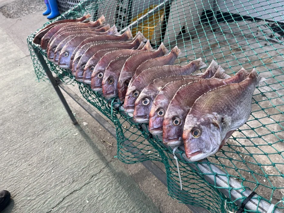 KakaoTalk_20260401_214925550_14.jpg?type=w1