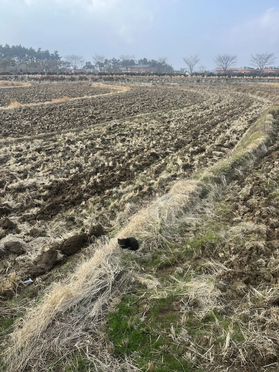 KakaoTalk_20260306_214130335.jpg?type=w1