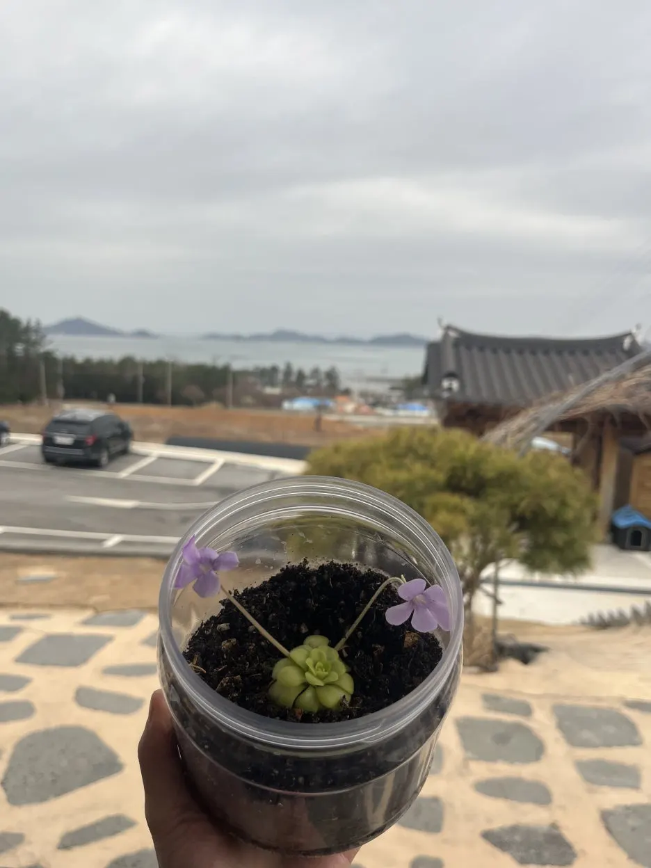 KakaoTalk_20260303_195318010_13.jpg?type=w1