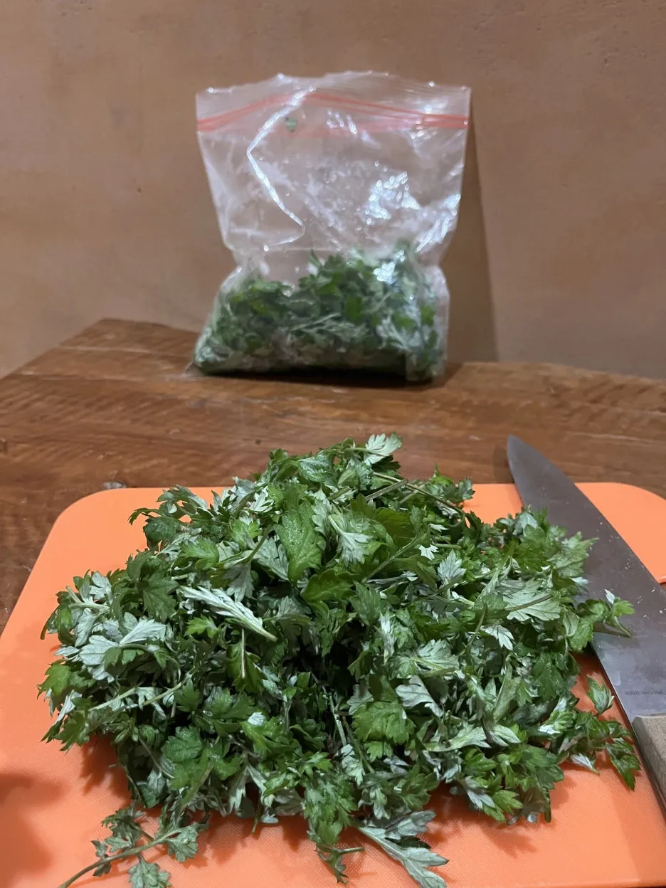 KakaoTalk_20260324_202123293_21.jpg?type=w1