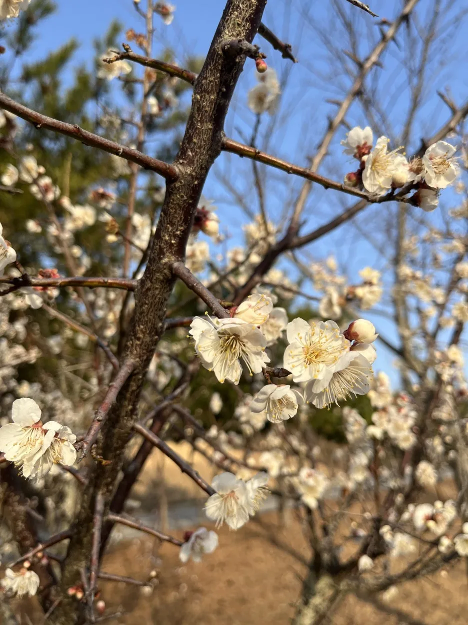 KakaoTalk_20260308_094431171_10.jpg?type=w1