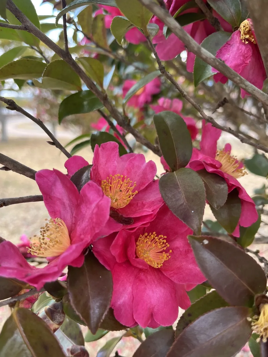 KakaoTalk_20260306_214130335_19.jpg?type=w1