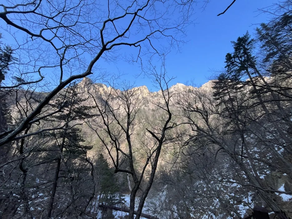 KakaoTalk_20260218_213024563_01.jpg?type=w1