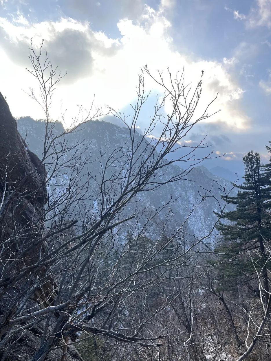 KakaoTalk_20260218_213821168_06.jpg?type=w1