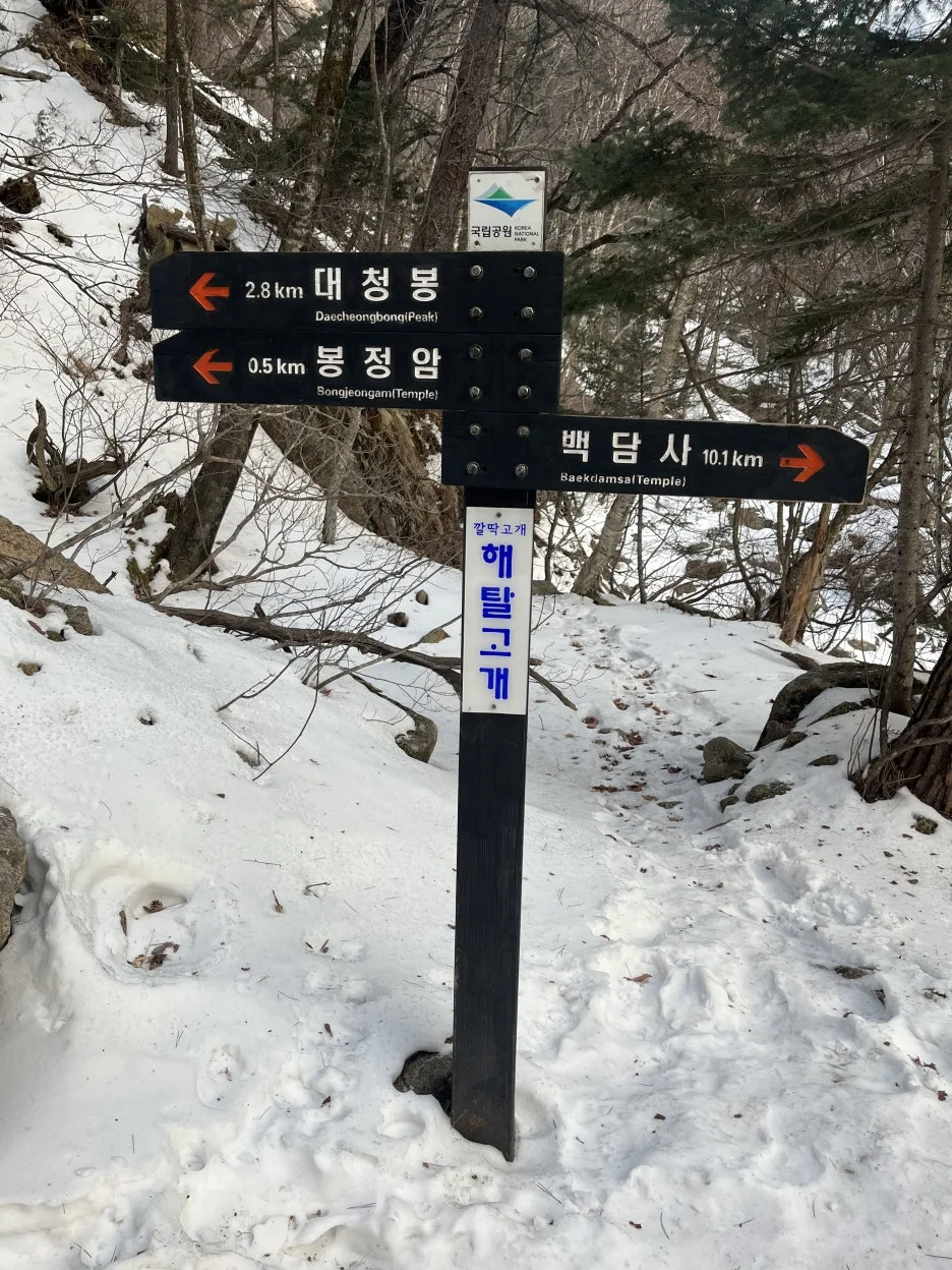 KakaoTalk_20260218_213821168_04.jpg?type=w1