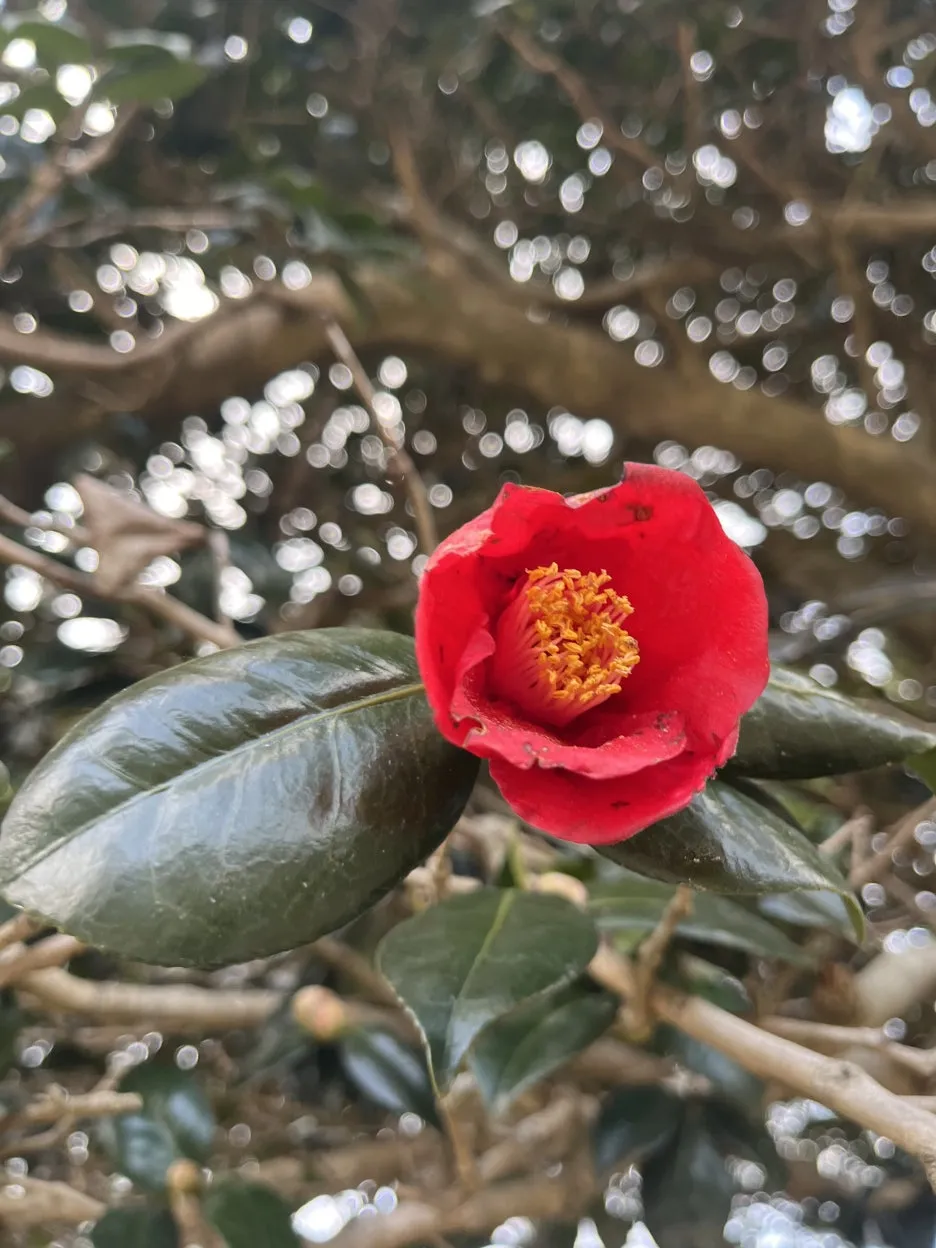 KakaoTalk_20260308_094431171_04.jpg?type=w1