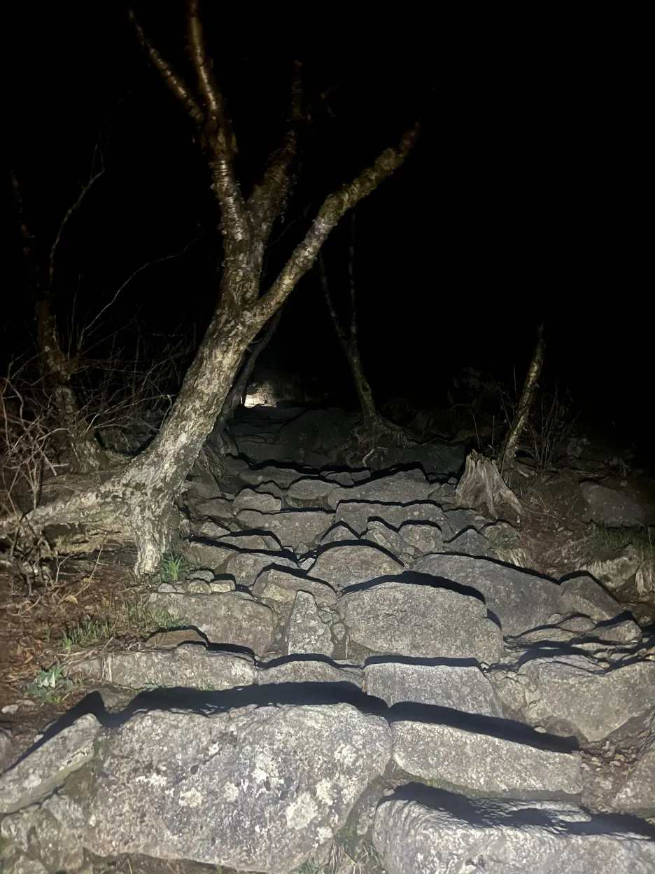 KakaoTalk_20260429_202509269_12.jpg?type=w1