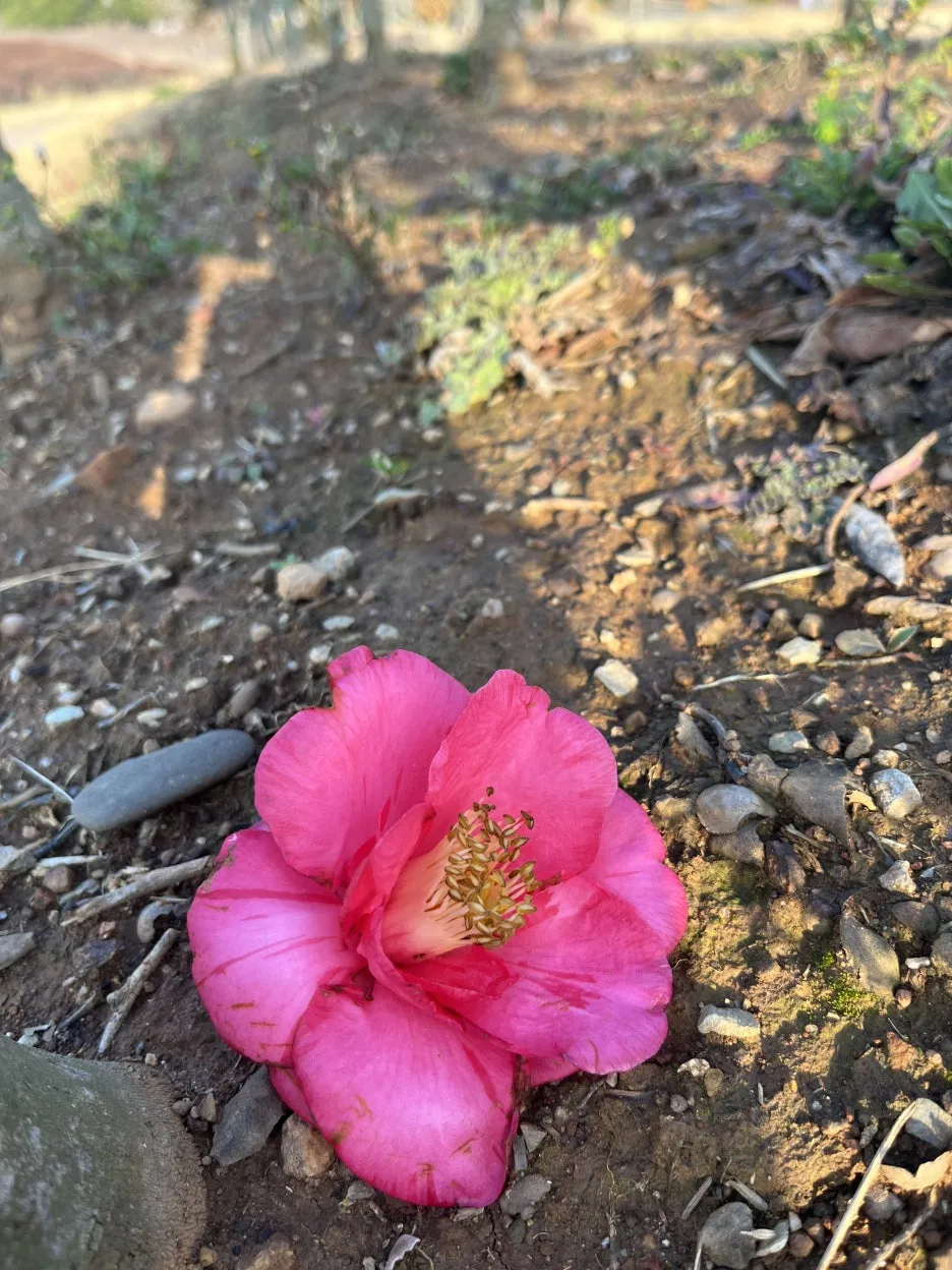 KakaoTalk_20260304_203846424_17.jpg?type=w1