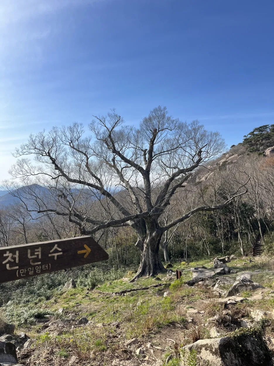 KakaoTalk_20260408_232755001_27.jpg?type=w1