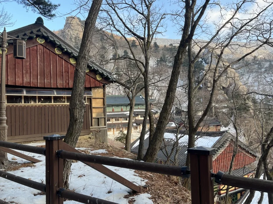 KakaoTalk_20260218_213821168_08.jpg?type=w1