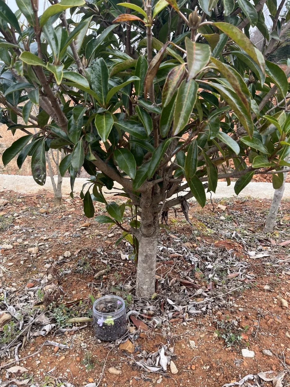 KakaoTalk_20260303_195514579_10.jpg?type=w1