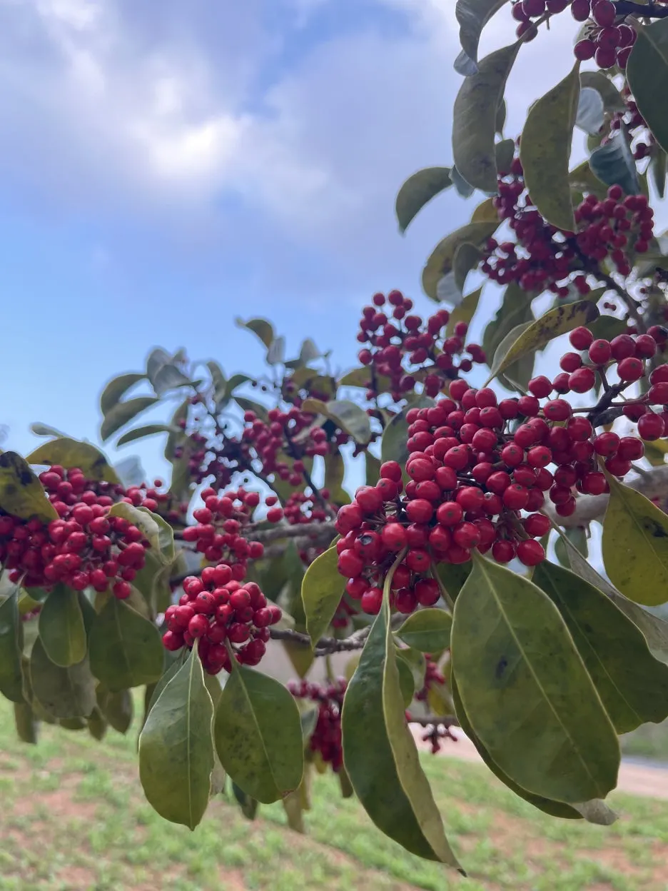 KakaoTalk_20260308_094431171.jpg?type=w1