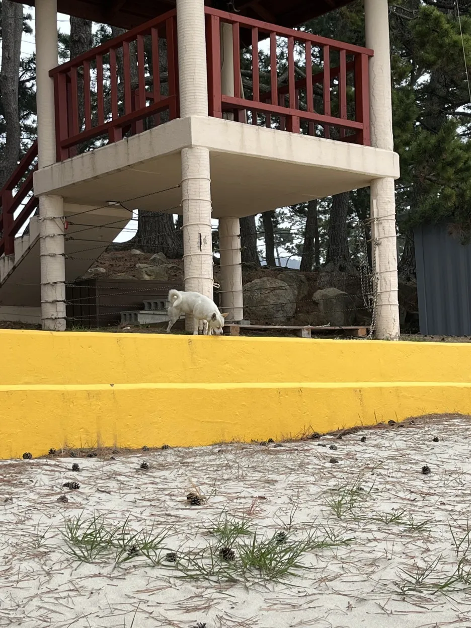 KakaoTalk_20260403_213346555_09.jpg?type=w1