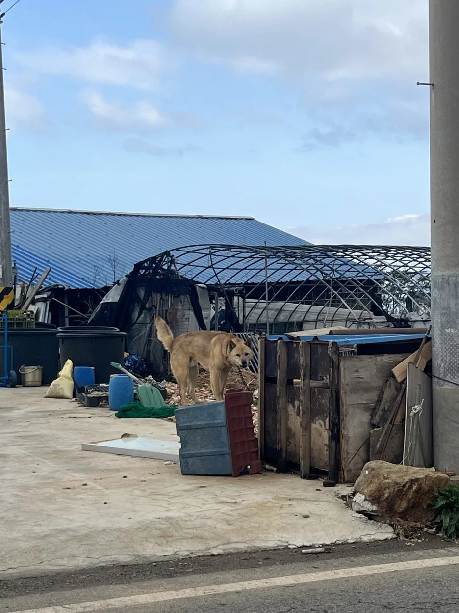 KakaoTalk_20260303_195514579_15.jpg?type=w1