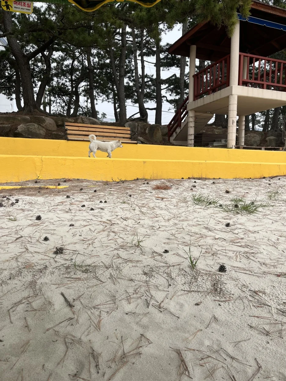 KakaoTalk_20260403_213346555_08.jpg?type=w1