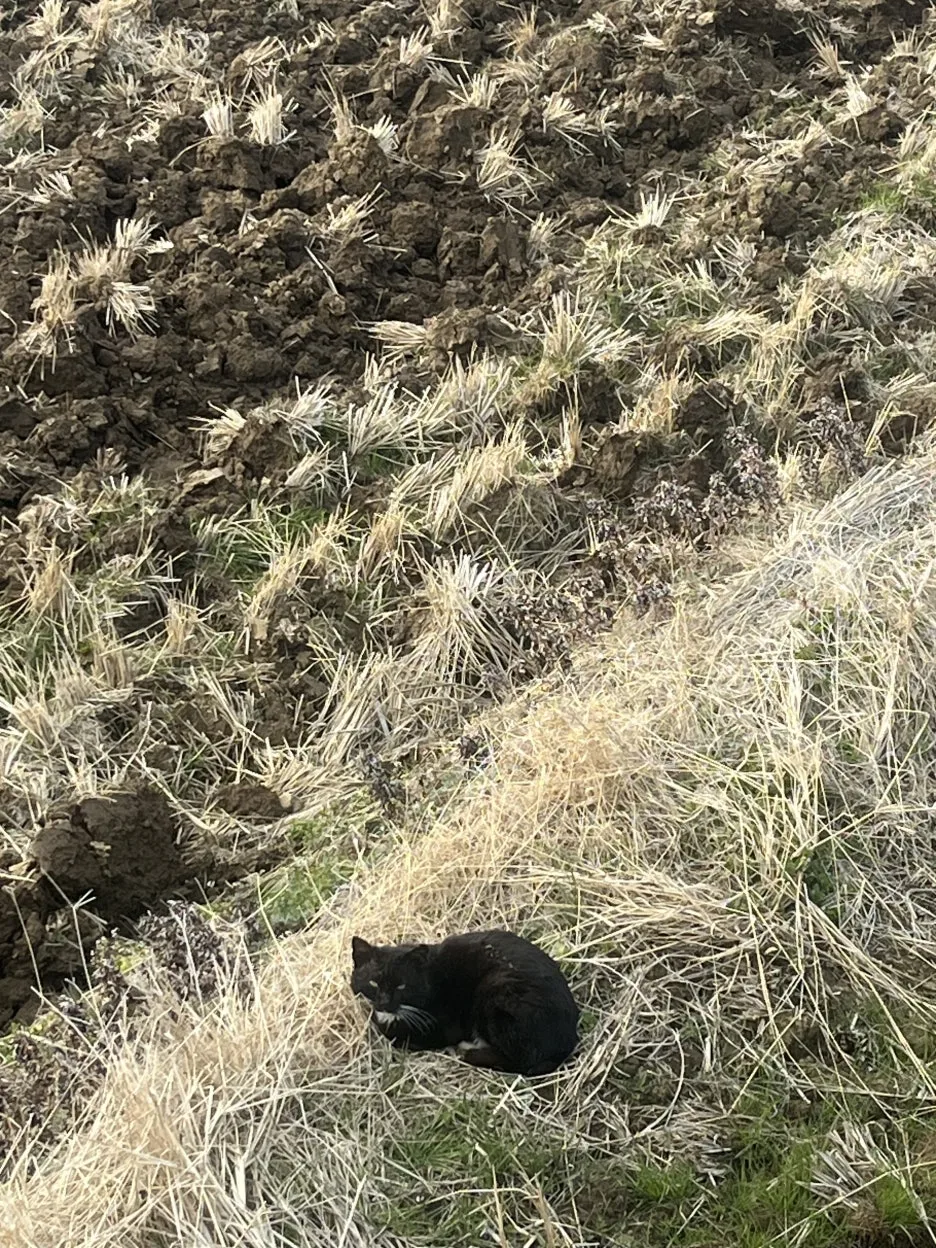 KakaoTalk_20260306_214130335_01.jpg?type=w1