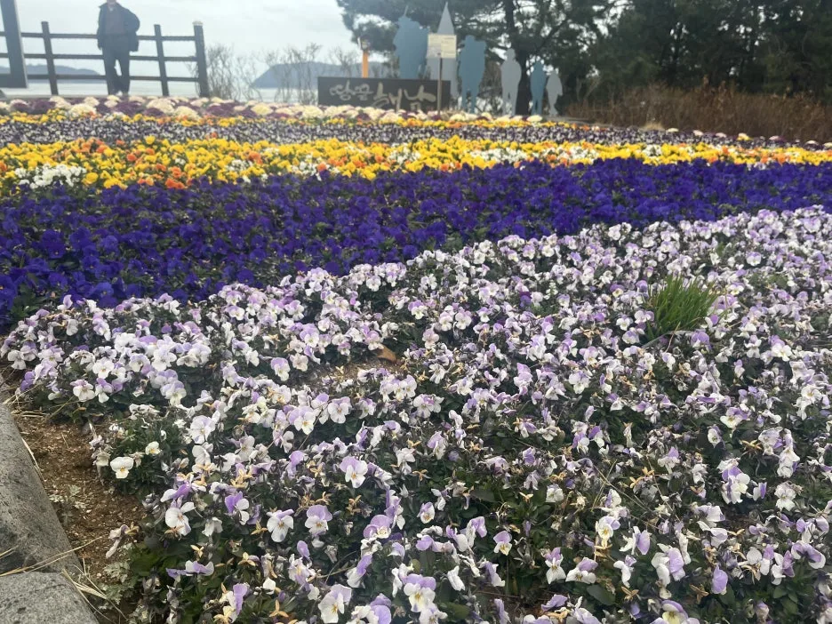 KakaoTalk_20260305_220427071_08.jpg?type=w1