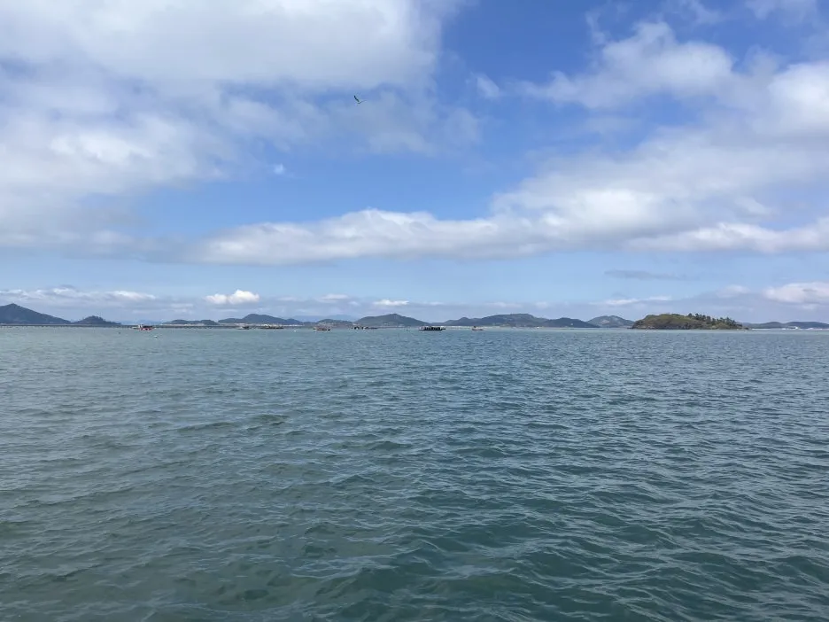 KakaoTalk_20260303_195514579_13.jpg?type=w1