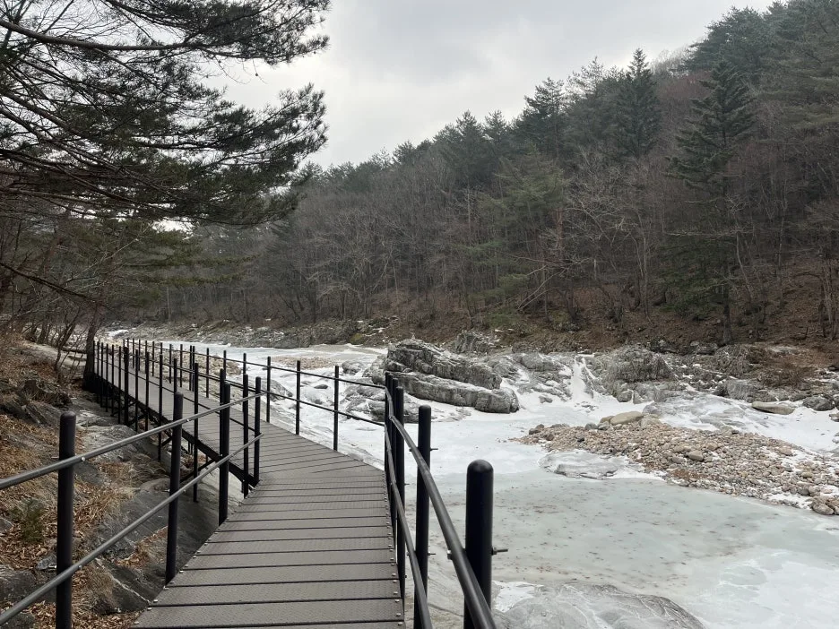 KakaoTalk_20260218_212726928_16.jpg?type=w1