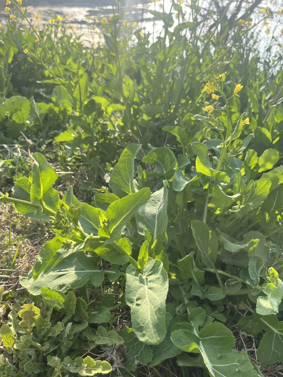 KakaoTalk_20260324_202123293_02.jpg?type=w1