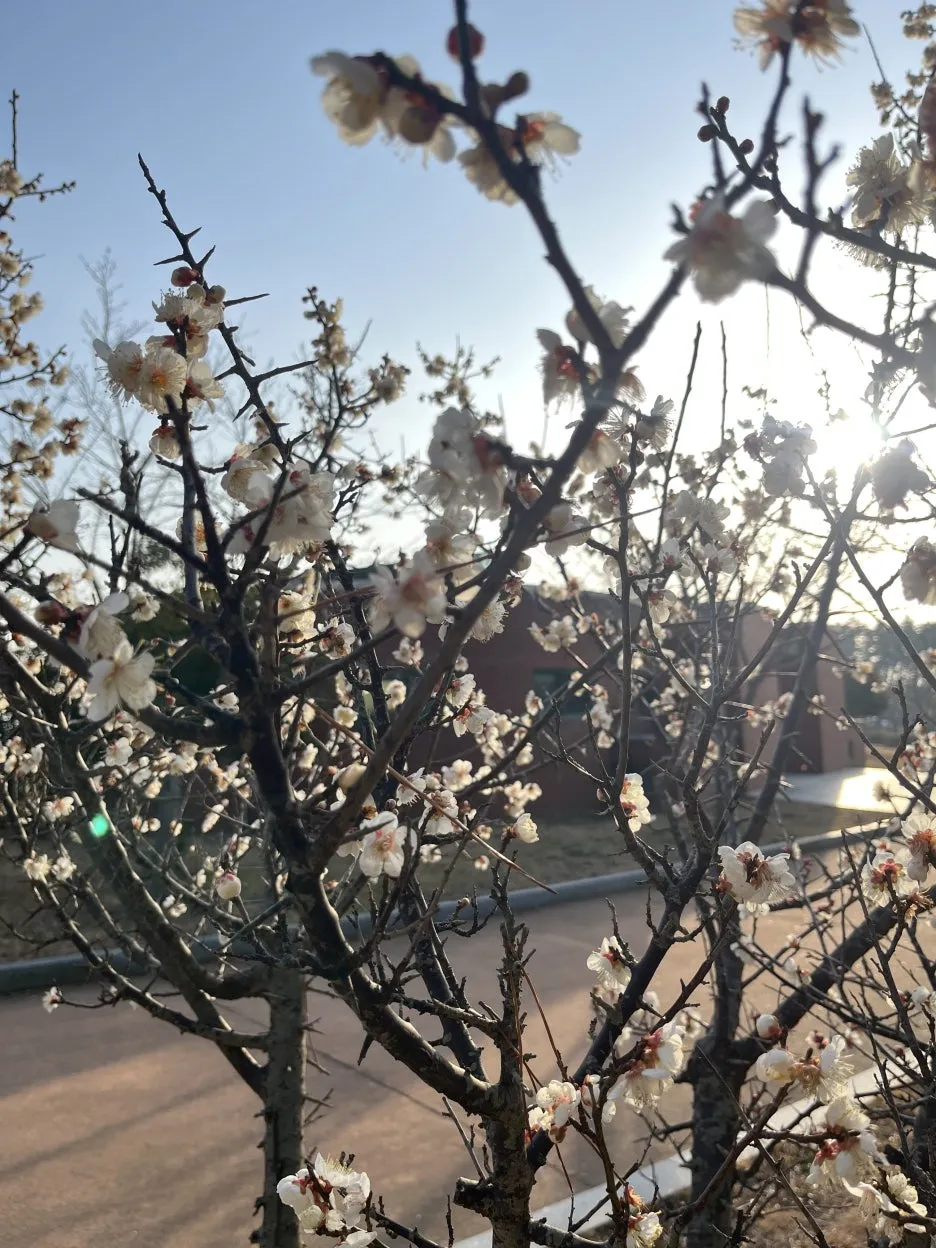 KakaoTalk_20260304_203846424_07.jpg?type=w1