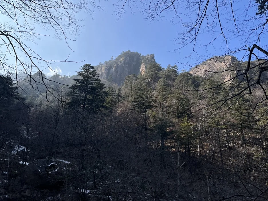 KakaoTalk_20260218_212854582.jpg?type=w1