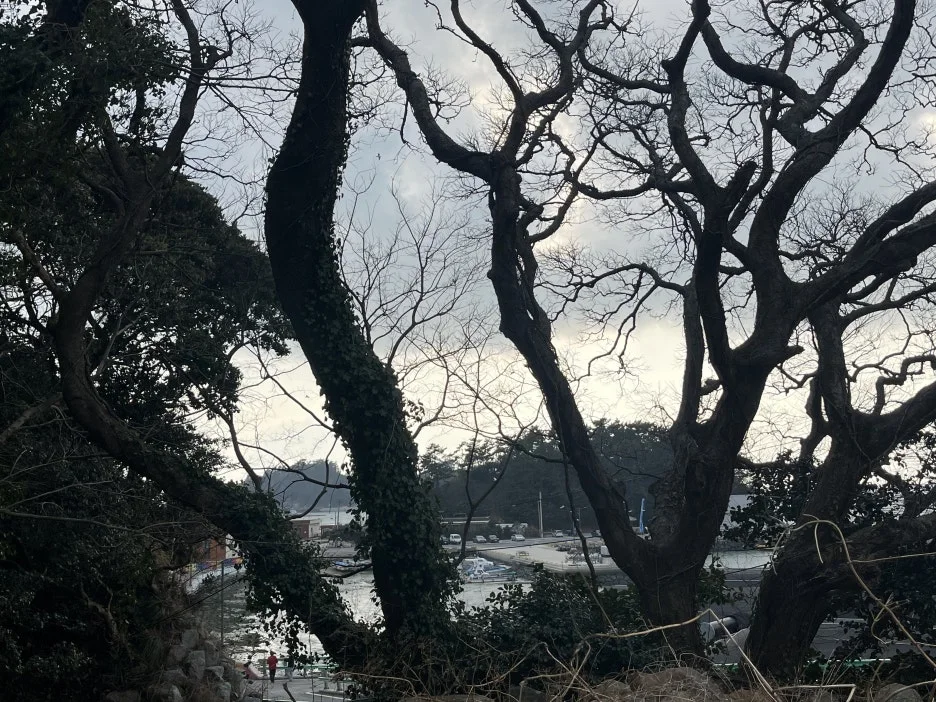 KakaoTalk_20260306_214130335_13.jpg?type=w1