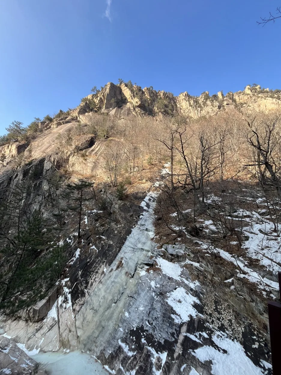 KakaoTalk_20260218_213153863_02.jpg?type=w1