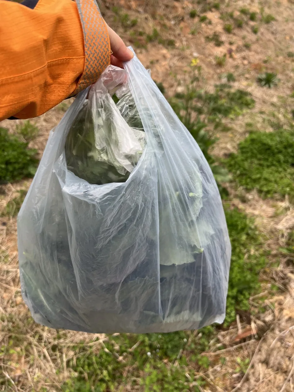 KakaoTalk_20260403_213346555_12.jpg?type=w1