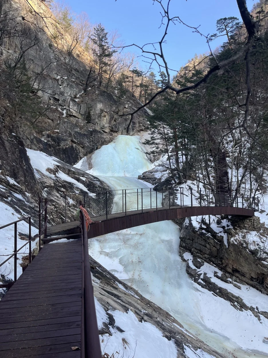 KakaoTalk_20260218_213024563_03.jpg?type=w1